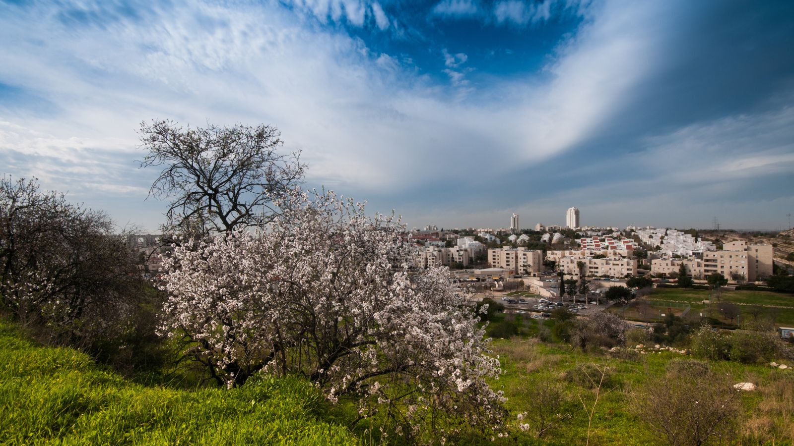 טיול באזור מודיעין